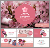 Cherry blossom themed slides featuring intro, design features, functionality, versatility, and conclusion in pink accents.