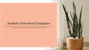 Aesthetic templates featuring a minimalistic peach design in a neutral background with a potted snake plant in the corner.