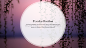 A slide with Fondos Bonitos, featuring a circular text box overlay on a pink nature-themed with delicate branches.