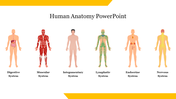 Human anatomy slide showing six body systems with labeled illustrations in a white background.