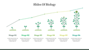 Six plant growth stages illustrated from a seedling to a grown flowering plant, with a line graph tracking the progress.