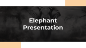 86465-elephant-ppt-presentation-01