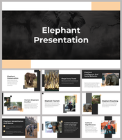 Elephant PPT Presentation And Google Slides Themes