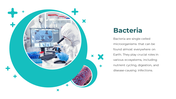 86588-microbiology-templates-free-download-02