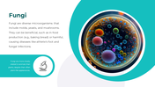 86588-microbiology-templates-free-download-04