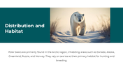 86660-polar-bear-powerpoint-template-04