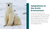 86660-polar-bear-powerpoint-template-06