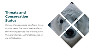 86660-polar-bear-powerpoint-template-12