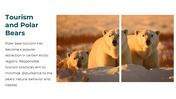 86660-polar-bear-powerpoint-template-14