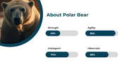 86660-polar-bear-powerpoint-template-15