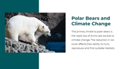 86660-polar-bear-powerpoint-template-18