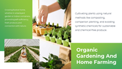 86675-organic-theme-powerpoint-07