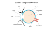 Diagram of a human eye, highlighting parts such as the cornea, lens, retina, and optic nerve with labeled arrows.