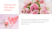 87020-rose-flower-ppt-03