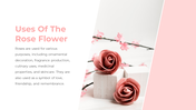 87020-rose-flower-ppt-06