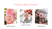 87020-rose-flower-ppt-07