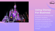 87067-disney-slide-template-04