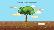 Illustration of a tree showing labeled parts of a tree with each part connected to a descriptive box.