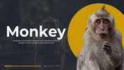 87851-monkey-ppt-01