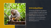 87851-monkey-ppt-02