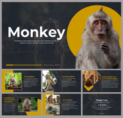 Slide deck featuring images of monkey with yellow accents, and sections for feeding habits and survival.