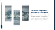 87953-tsunami-powerpoint-template-05