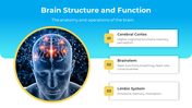 88498-free-neurology-powerpoint-templates-03