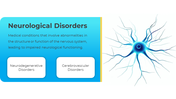 88498-free-neurology-powerpoint-templates-04