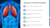 Lungs graphic slide on a blue background alongside respiratory system facts, highlighting unique traits of the human lungs.