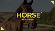 Slide deck featuring horse themed content and images with yellow accents on topics like breeds, anatomy, and care.