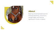 88528-horse-template-powerpoint-02