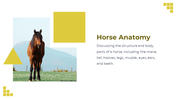 88528-horse-template-powerpoint-04