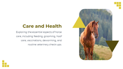 88528-horse-template-powerpoint-05