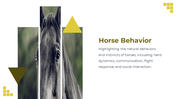 88528-horse-template-powerpoint-09