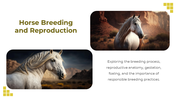 88528-horse-template-powerpoint-11