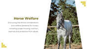 88528-horse-template-powerpoint-13