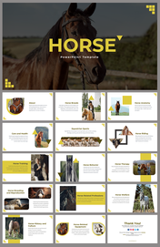 Slide deck featuring horse themed content and images with yellow accents on topics like breeds, anatomy, and care.