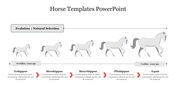 Timeline showing horse evolution with five stages, from Eohippus to Equus, with placeholder text along a horizontal path.