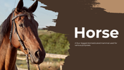 88540-horse-google-slides-template-01