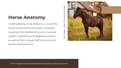 88540-horse-google-slides-template-03