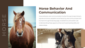 88540-horse-google-slides-template-08