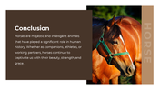 88540-horse-google-slides-template-15