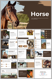 Slide deck with brown and beige tones featuring images of horses, covering anatomy, breeds, and training methods.