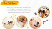 88809-dog-google-slides-template-10