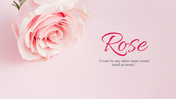 88893-background-powerpoint-rose-02