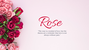 88893-background-powerpoint-rose-04