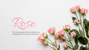 88893-background-powerpoint-rose-05