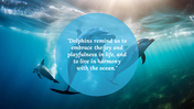 88951-dolphin-powerpoint-background-03