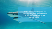 88951-dolphin-powerpoint-background-04