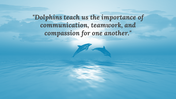 88951-dolphin-powerpoint-background-05